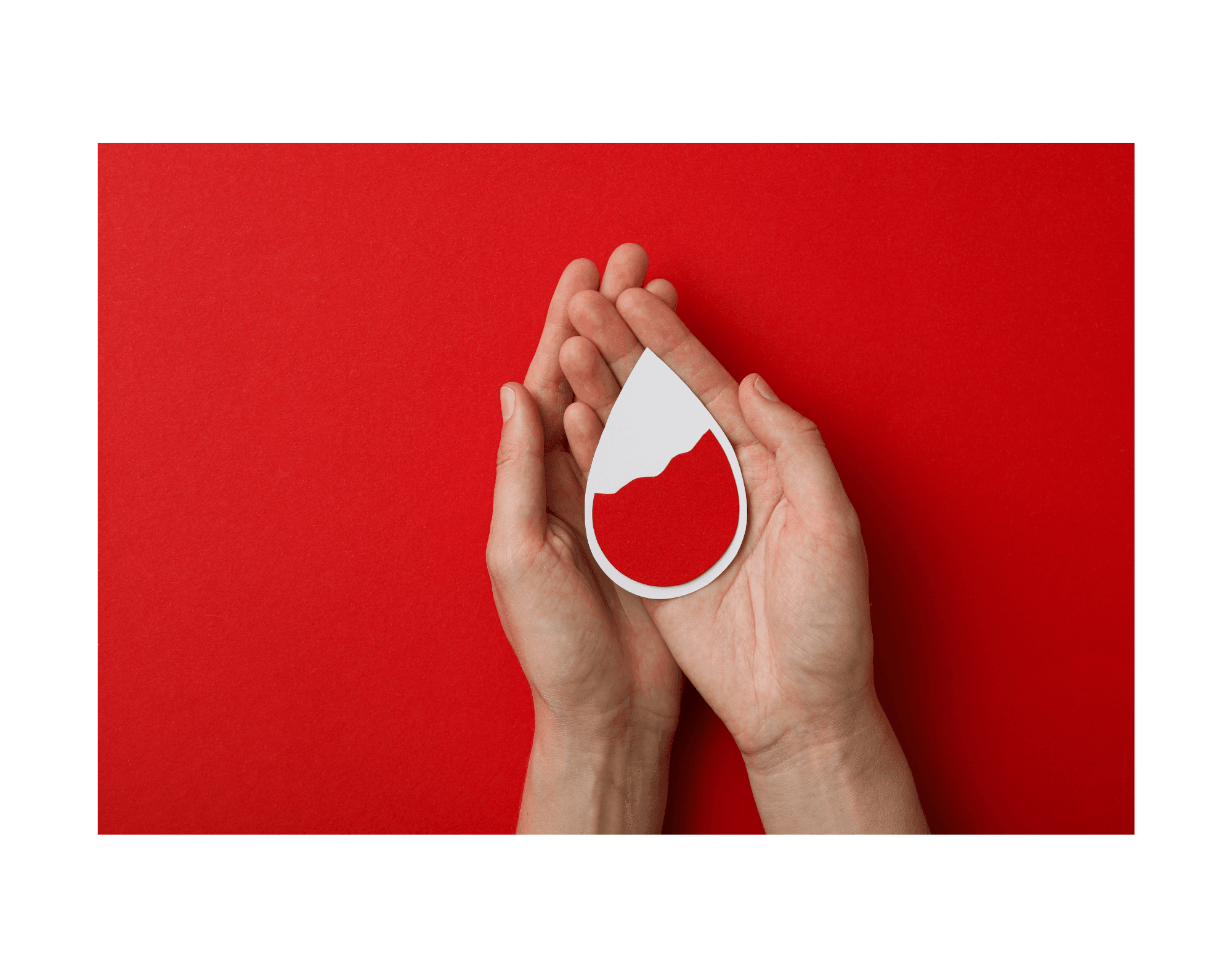 Donación altruista de sangre